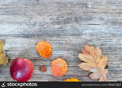orange raw pumpkins and red apples ripe on old wooden textured table, top view with copy space. pumpkin on table
