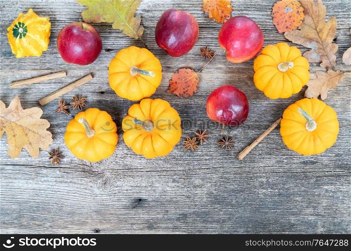 orange raw pumpkins and red apples ripe on old wooden textured table, top view flat lay with copy space. pumpkin on table