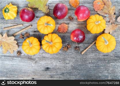 orange raw pumpkins and red apples ripe on old wooden textured table, top view flat lay with copy space. pumpkin on table