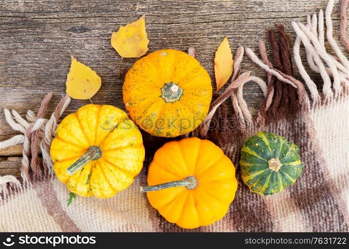 orange raw pumpkins on old wooden textured table, top view scene. pumpkin on table