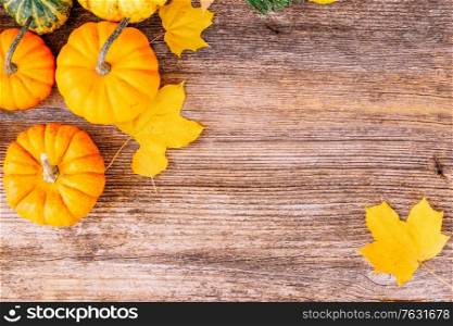 orange raw pumpkins with leaves on old wooden textured table, top view, retro toned. pumpkin on table