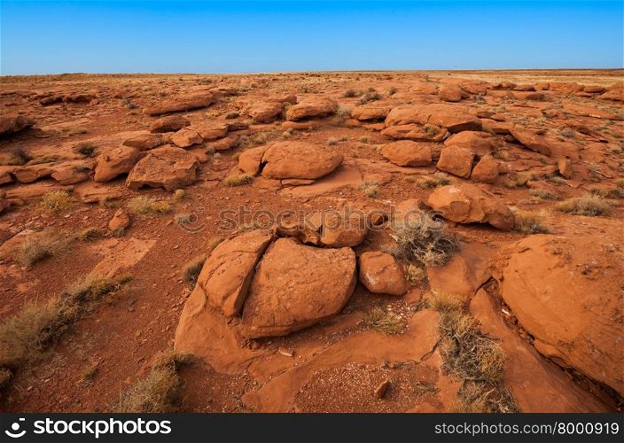 Orange rocks in the desert, Arizona afternoon
