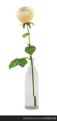 orange rose in glass vase isolated on white background