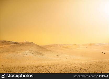 Orange sky over Sahara desert in Cairo, Egypt. Sahara desert in Cairo