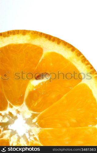 orange slice macro close up