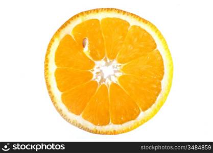 orange slice macro close up