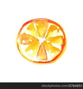 Orange slice. Watercolor illustration on a white background