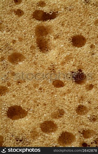 Orange sponge texture background, macro detail of surface