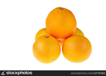 orange, tangerine on white background