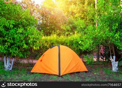 Orange tent among orange trees under the bright sun. Summer landscape.. Orange tent among orange trees under the bright sun