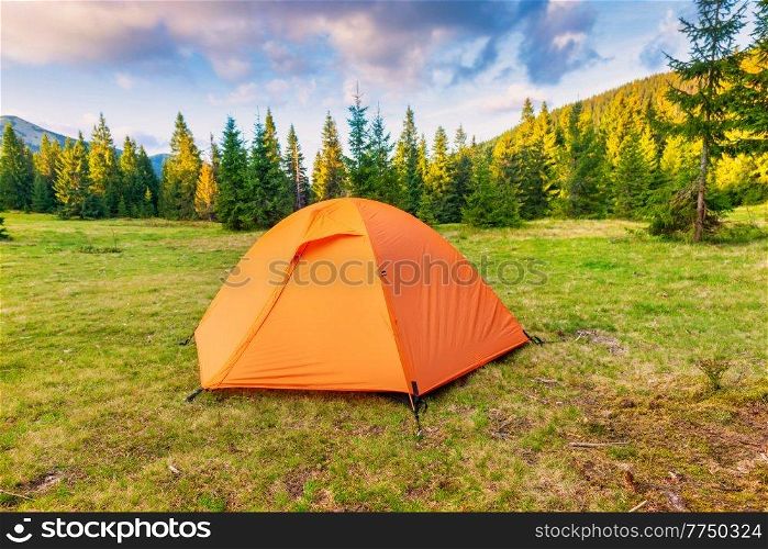 Orange tent camp in green pine forest with camping