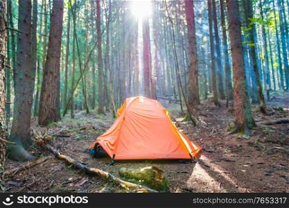 Orange tent in green pine forest with sunset sun and sun rays through trees