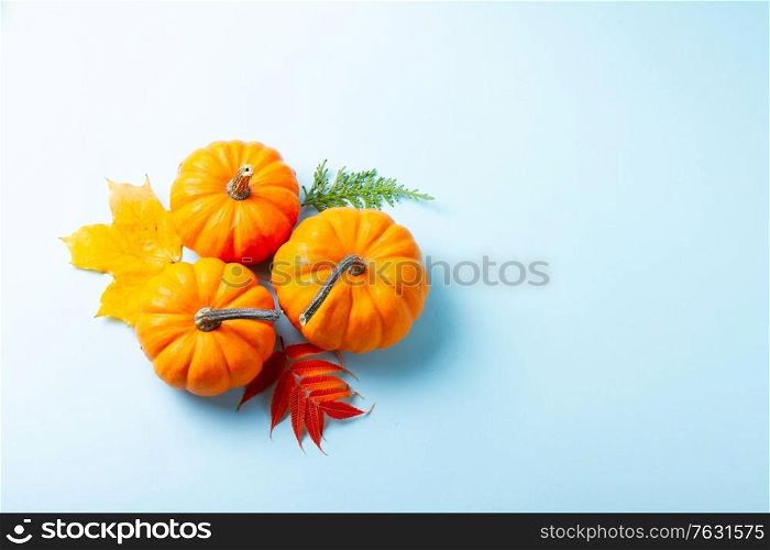 Orange three pumpkins and leaves on blue background with copy space. pumpkin on table