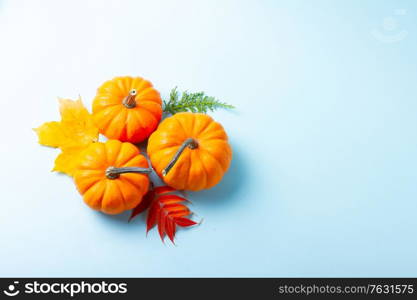 Orange three pumpkins and leaves on blue background with copy space. pumpkin on table