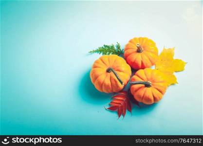 Orange three pumpkins and leaves on blue background with copy space, retro toned. pumpkin on table