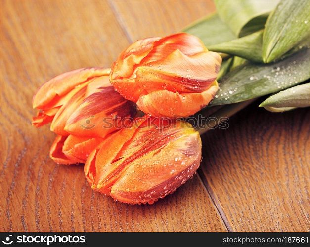 orange tulip flowers bouquet on wooden background. Orange Tulip Flowers
