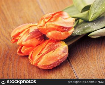 orange tulip flowers bouquet on wooden background. Orange Tulip Flowers