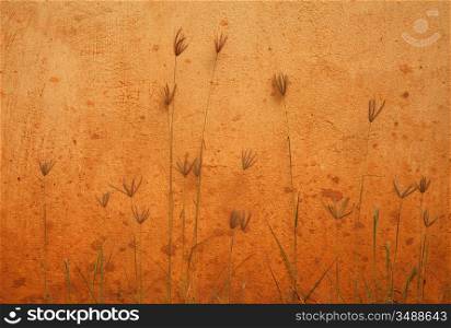 orange wall and plants beautiful background photo