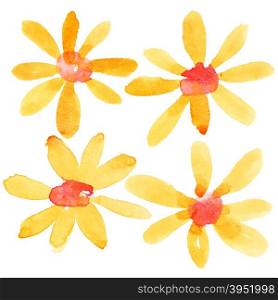 Orange watercolor flowers isolated over the white background