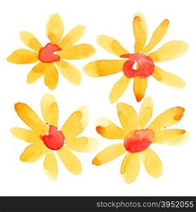 Orange watercolor flowers isolated over the white background