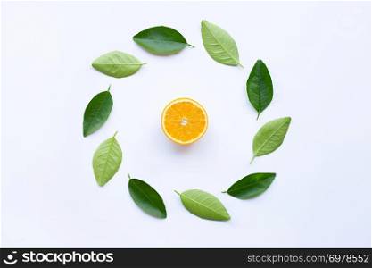 Orange with green leaves circle on white background.