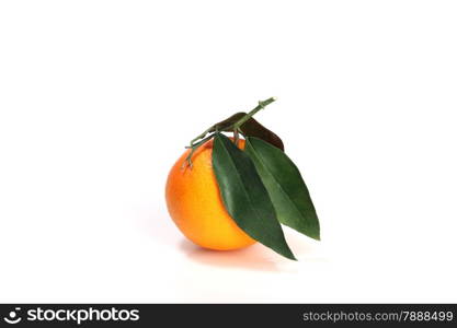 orange with green leavse isolated