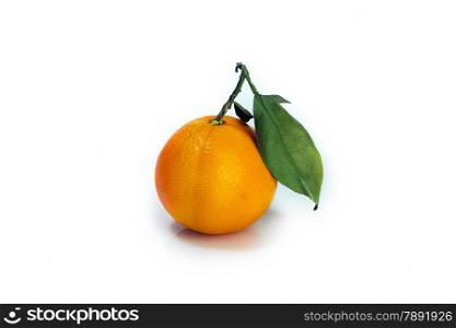 orange with green leavse isolated
