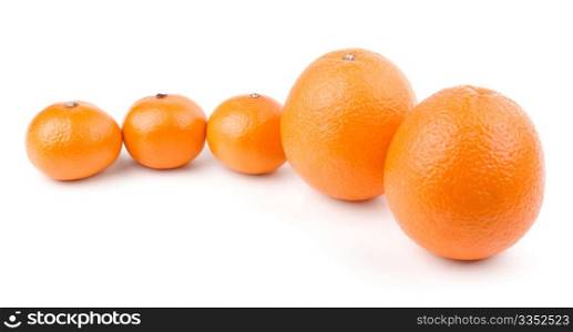 Oranges and tangerines in row. Oranges and tangerines in row isolated on white background