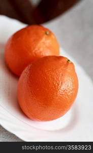 oranges on a white background