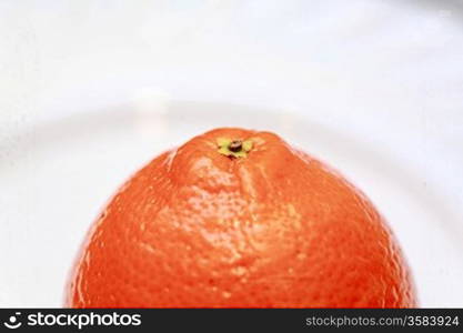 oranges on a white background