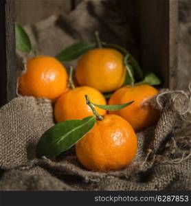 Oranges on stalk in rustic setting with old wooden box and hessian sack