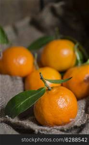 Oranges on stalk in rustic setting with old wooden box and hessian sack