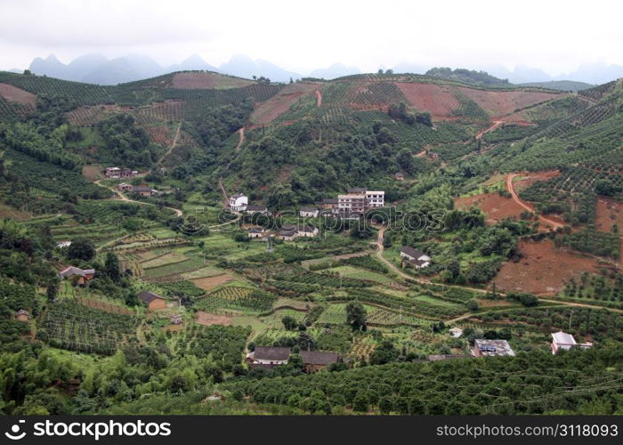 Orchards in valley near Yanshuo, China