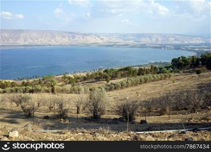 Orchards on the bank of Kinneret lake, Israel