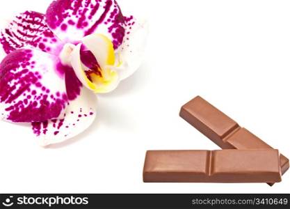 Orchid and chocolate closeup on white background