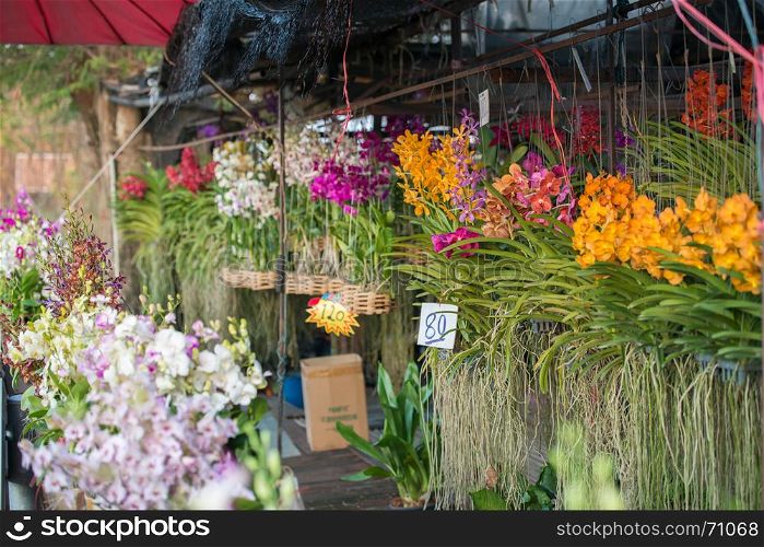 orchid flower store in Thailand