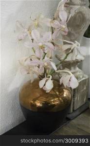 Orchid flower vase decorated in health spa, stock photo