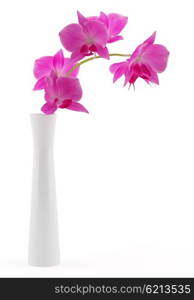 orchid flowers in vase isolated on white background. 3d illustration