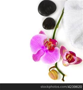 Orchid Spa Composition- Spa and healthcare concept