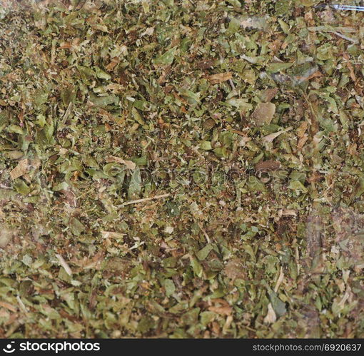 Oregano herb (aka marjoram). Oregano herb aka wild marjoram or majorana or sweet marjoram