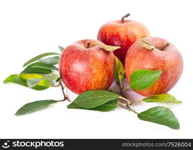 Organic apples with green leaves isolated on white background