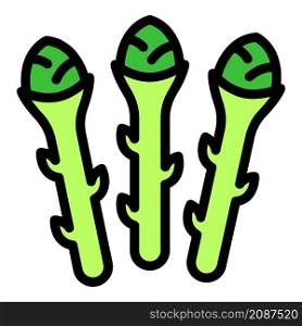 Organic asparagus icon. Outline organic asparagus vector icon color flat isolated. Organic asparagus icon color outline vector