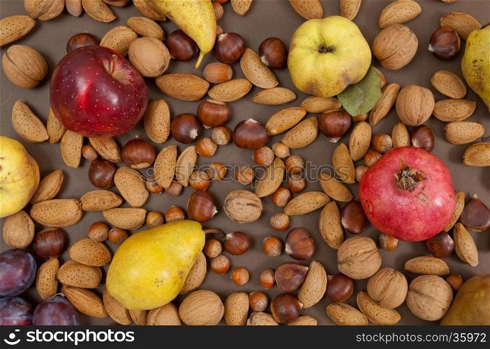 Organic autumn fruits and in shell nuts on dark brown background
