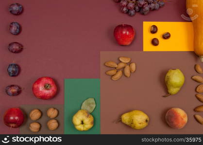 Organic autumn fruits and nuts isolated on split background with copy space