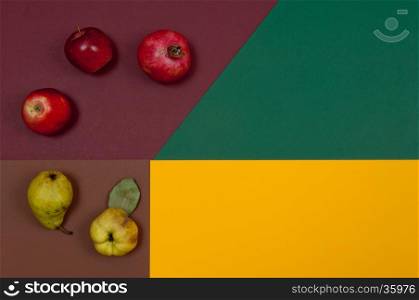 Organic autumn fruits and nuts isolated on split background with copy space