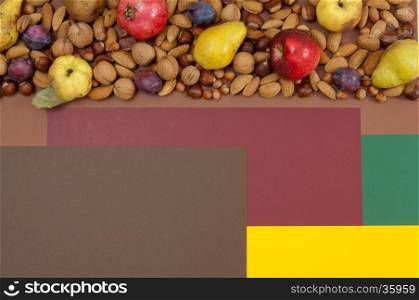 Organic autumn fruits and nuts on split background with copy space