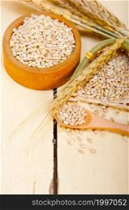 organic barley grains over rustic wood table macro closeup