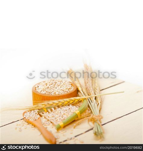 organic barley grains over rustic wood table macro closeup