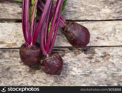 organic beetroot vegetable / fresh red beet roots harvested on wooden background