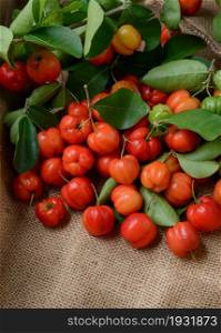 organic brazilian acerola cherry on sack after harvest.